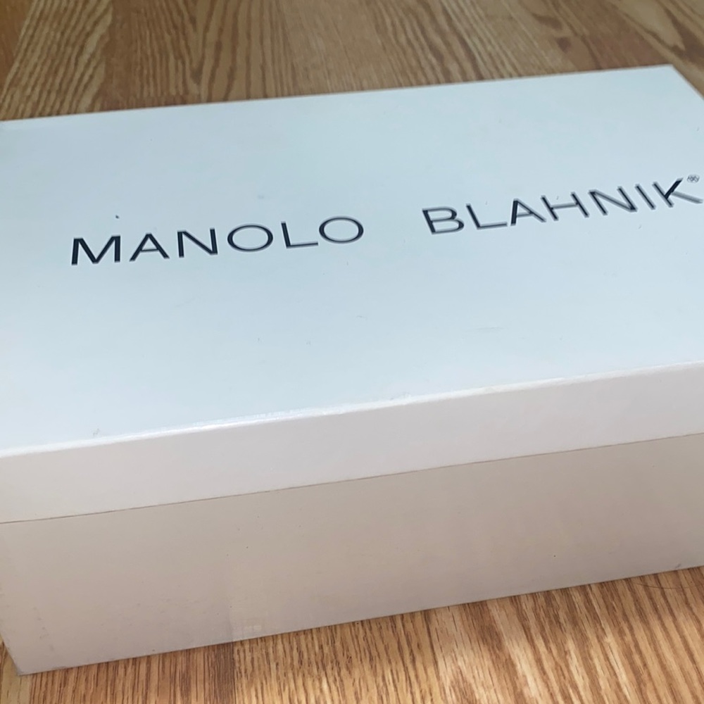 Manolo Blahnik : Bbmetal Gray Pumps